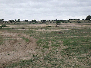 afrika2336.jpg