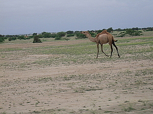 afrika2352.jpg