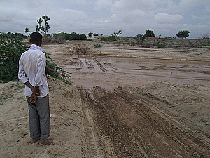 afrika2358.jpg