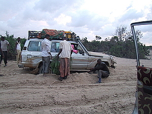 afrika2380.jpg