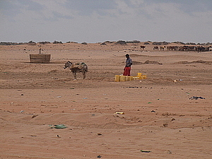 afrika2396.jpg