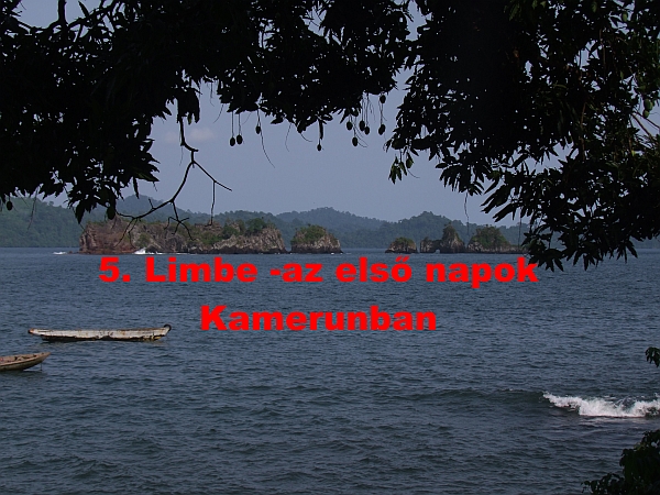 tdik rsz