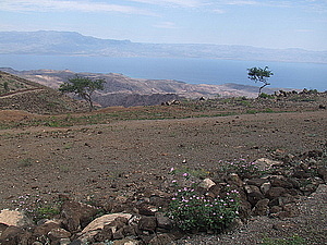 afrika2556.jpg