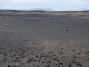 afrika2590.jpg