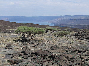afrika2640.jpg