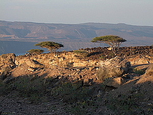 afrika2659.jpg