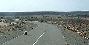 afrika2715a.jpg