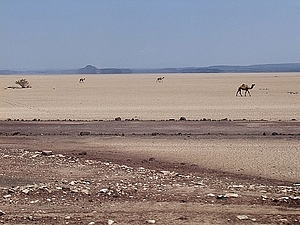 afrika2757a.jpg