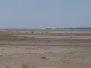 afrika2767.jpg