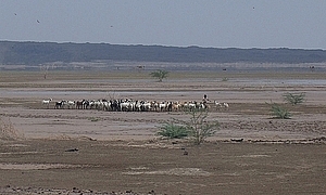 afrika2768a.jpg