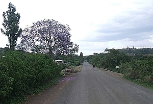 afrika2822a.jpg