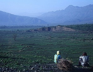 afrika2862a.jpg