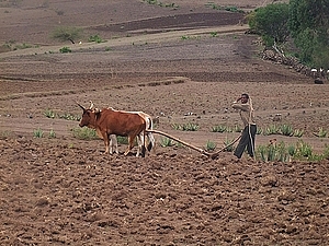 afrika2890a.jpg