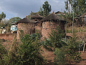 afrika2930.jpg