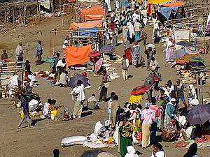 afrika3012_afrika3070.jpg