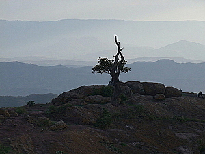 afrika3014_afrika2978.jpg