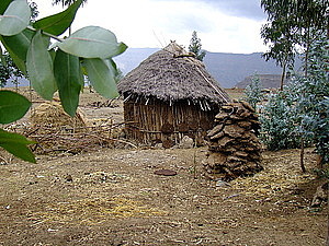afrika3119.jpg