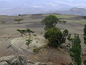 afrika3189.jpg