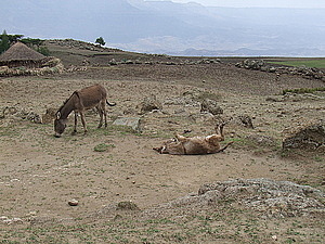 afrika3214.jpg
