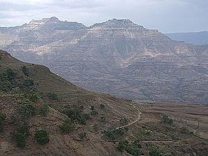 afrika3238.jpg
