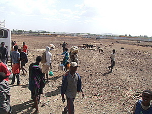 afrika3393.jpg