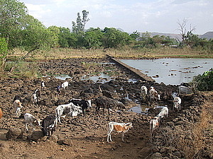 afrika3418.jpg