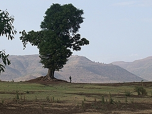 afrika3421a.jpg