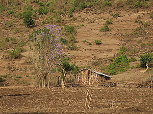 afrika3438.jpg