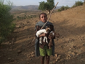 afrika3439a.jpg