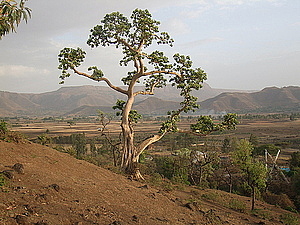 afrika3448.jpg