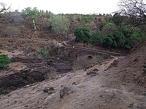 afrika3454a.jpg