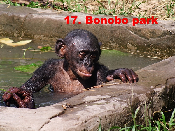 tizenhetedik rsz
