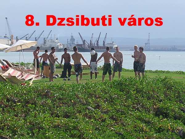 nyolcadik rsz