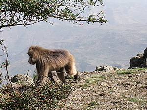 afrika3665.jpg