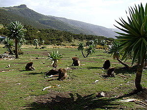 afrika4356.jpg