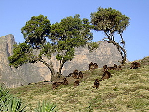 afrika4551.jpg