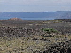 afrika2608.jpg