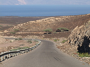 afrika2653.jpg
