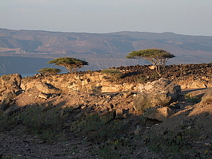 afrika2659.jpg