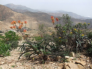 afrika5725.jpg