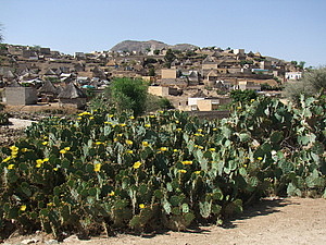 afrika5378.jpg