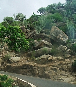 afrika5480b.jpg