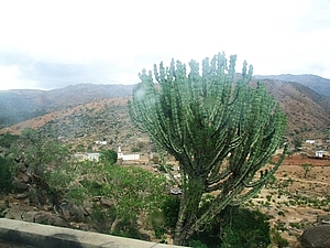afrika5483a.jpg