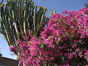 afrika5505_655_afrika6623.jpg