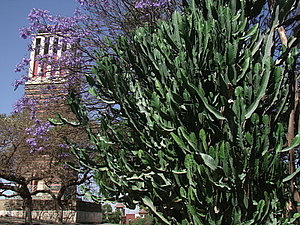 afrika5505_750_afrika6670.jpg