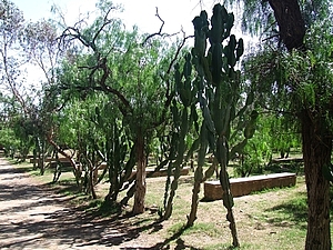 afrika5505_755_afrika6671a.jpg