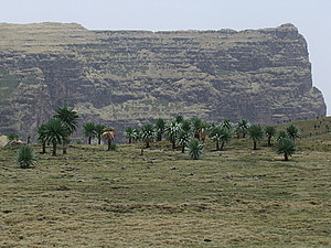 afrika4065.jpg