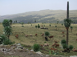 afrika4081.jpg