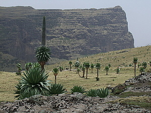 afrika4088.jpg