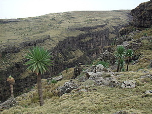 afrika4102.jpg